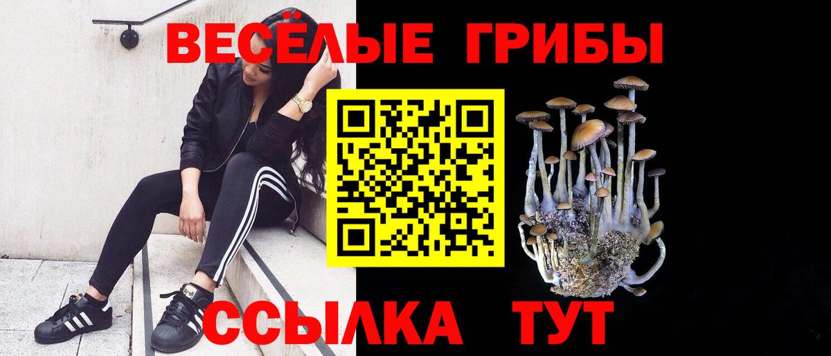 Галлюциногенные грибы мухоморы  Галлюциногенные грибы Cubensis  Видное  Вход с VPN 